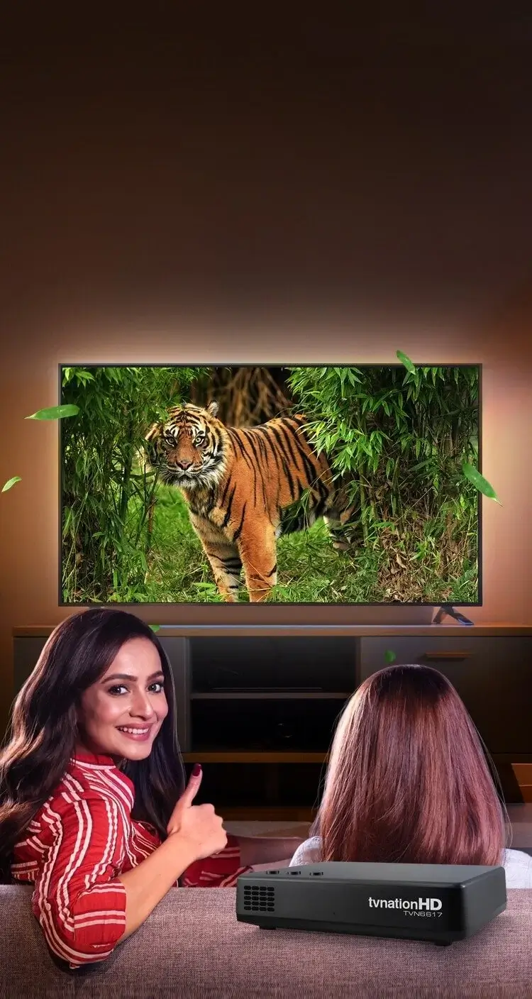 HD TV